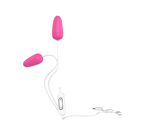 PINECONE USB Vibrating Jump Double Love Eggs Powerful Vibration*Rose